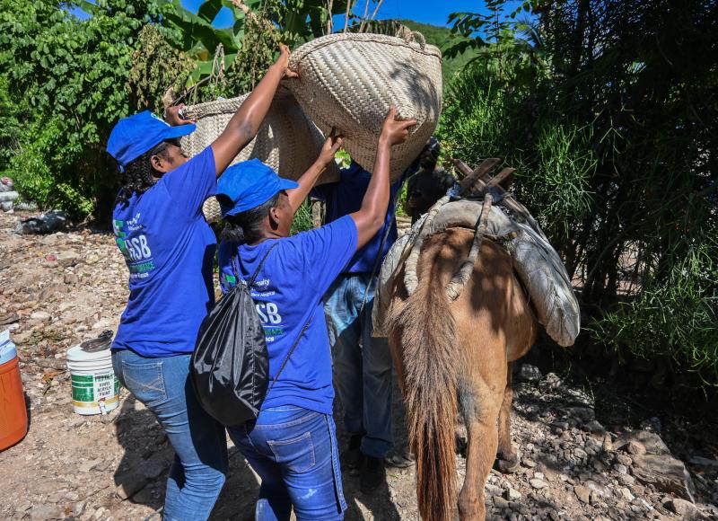 2 Haitian women in blue HEI T-shirts and caps lift a woven straw pannier onto a mule standing at the side of the road.